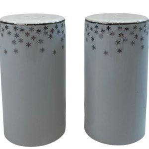 Christmas theme salt pepper shaker. Silver icicles